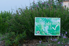 pesticide free